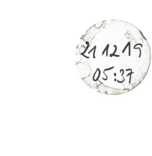 Mondzeit – 19.12.2021